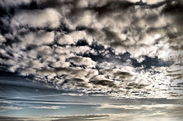 Altocumulus